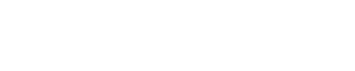 SELF - Magnifly